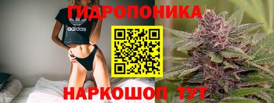 соль ск Гатчина