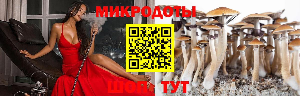 Галлюциногенные грибы Psilocybine cubensis  Псилоцибиновые грибы мухоморы  Тихвин  как найти закладки  Вход с VPN 